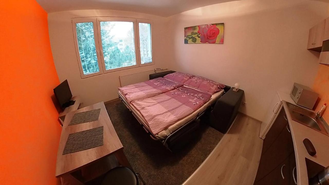 Appartamento Garsonka Hlinik Třeboň Esterno foto