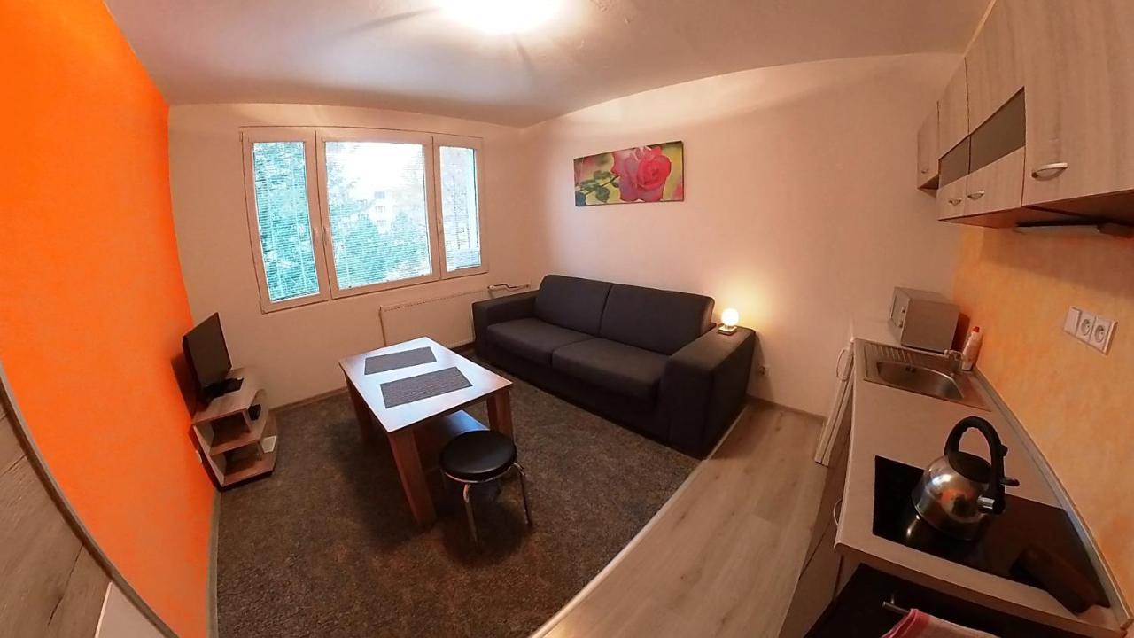 Appartamento Garsonka Hlinik Třeboň Esterno foto