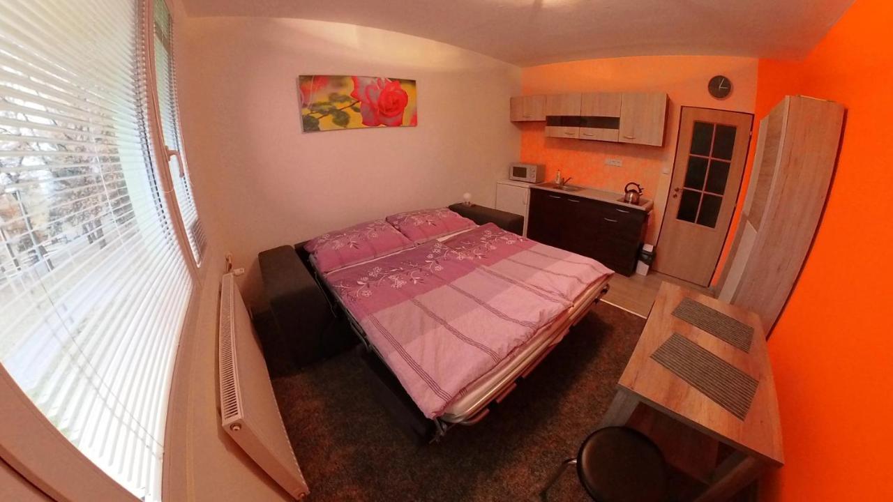 Appartamento Garsonka Hlinik Třeboň Esterno foto