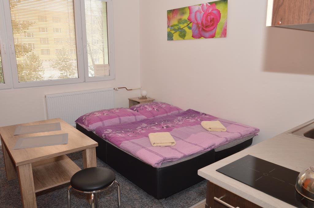 Appartamento Garsonka Hlinik Třeboň Esterno foto