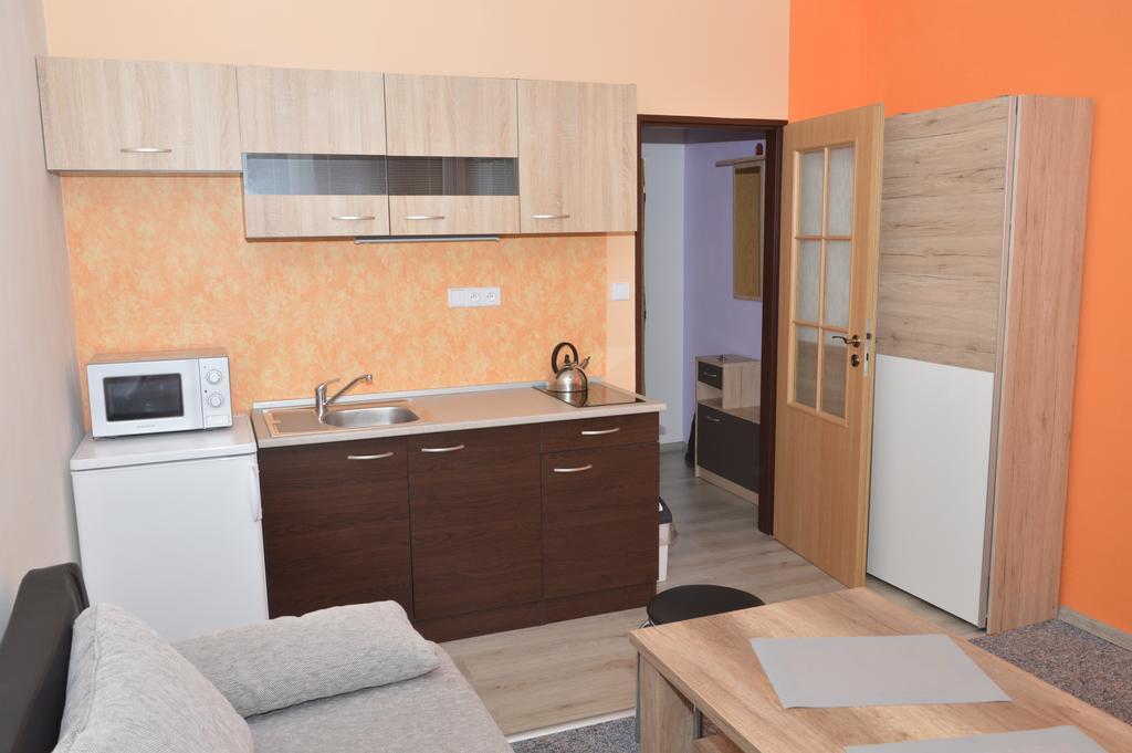 Appartamento Garsonka Hlinik Třeboň Esterno foto